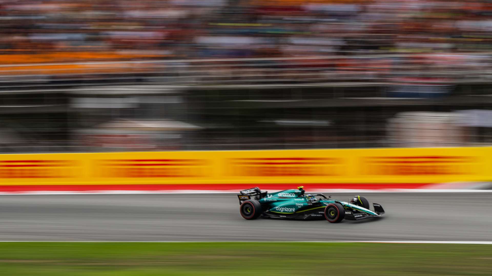 观众可以在 观众可以在